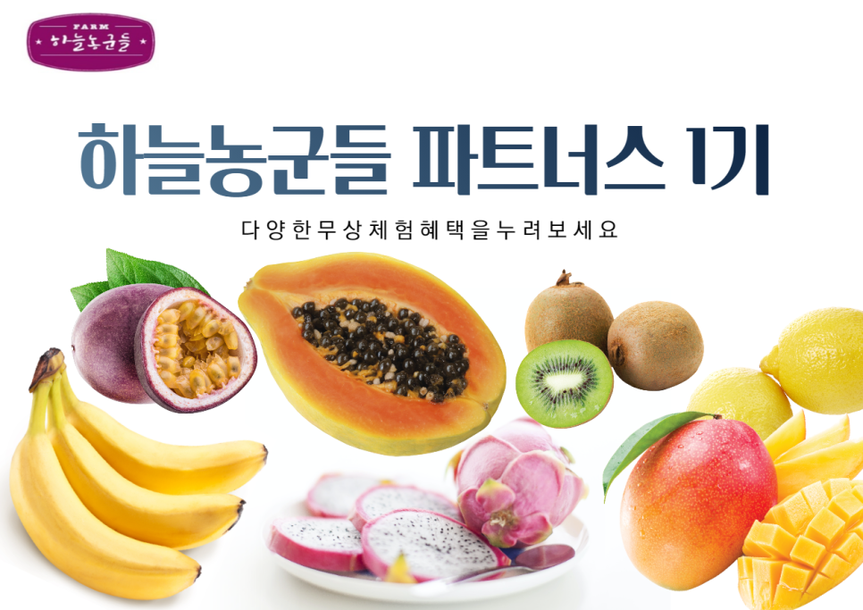 하늘파트너스 이미지