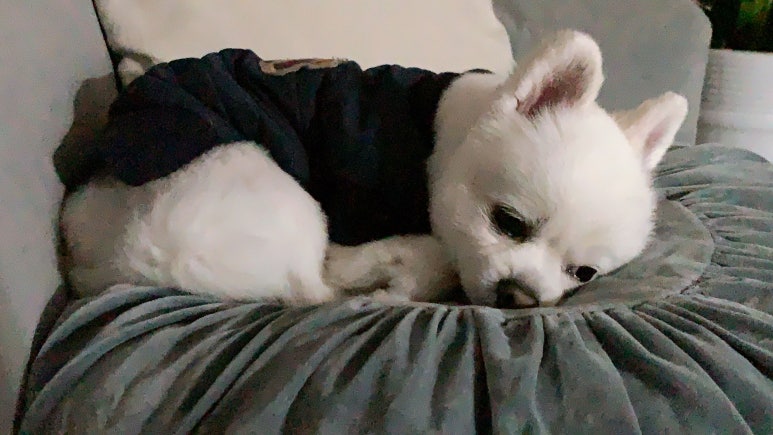 다아는커피 이미지