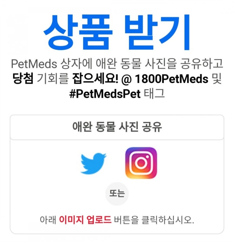 엑스프레스(Express) 이미지