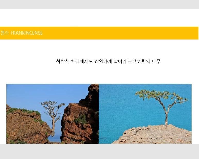 라이프랩스 이미지