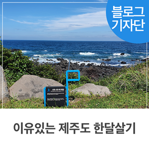 제주일오칠 이미지