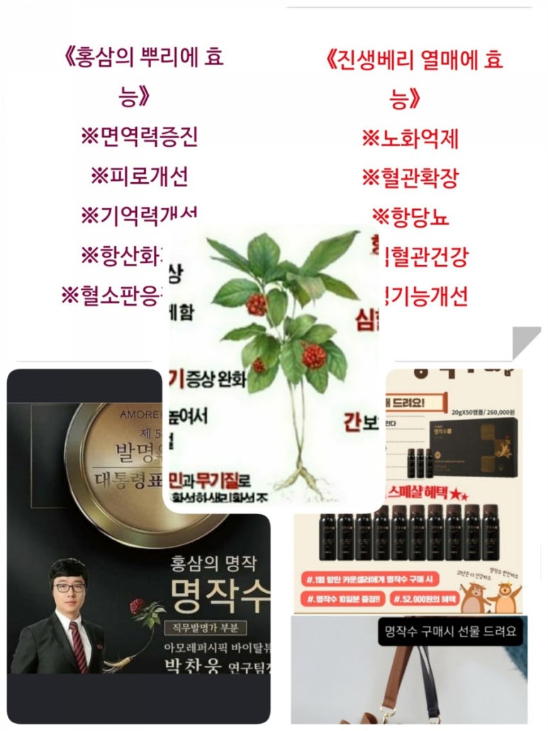 수기획 이미지