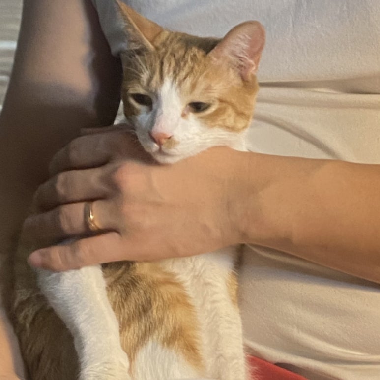 오빠막창물금 이미지