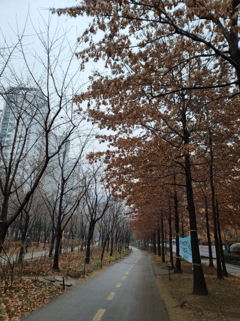 스타벅스커피 서강대흥역 이미지