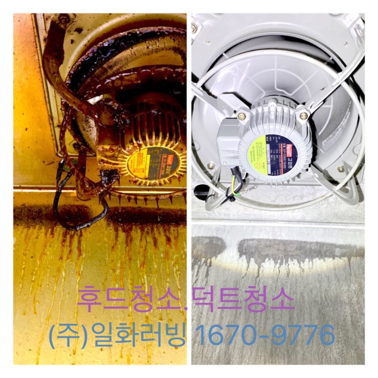 (주)일화러빙 이미지