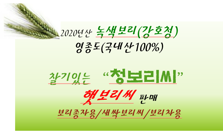 보리씨 이미지