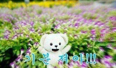 구운 이미지