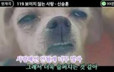 송다방 이미지