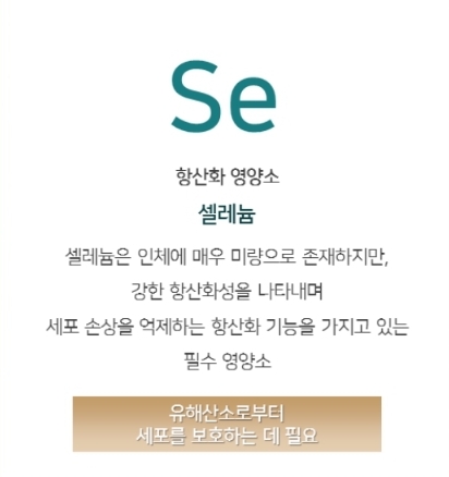 엑스푸드 이미지