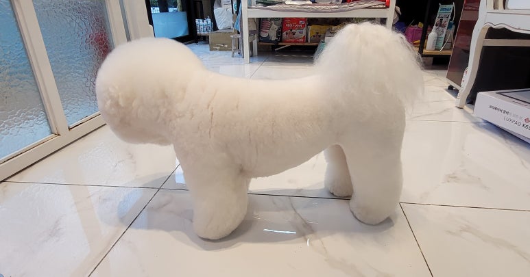 푸푸샵 이미지