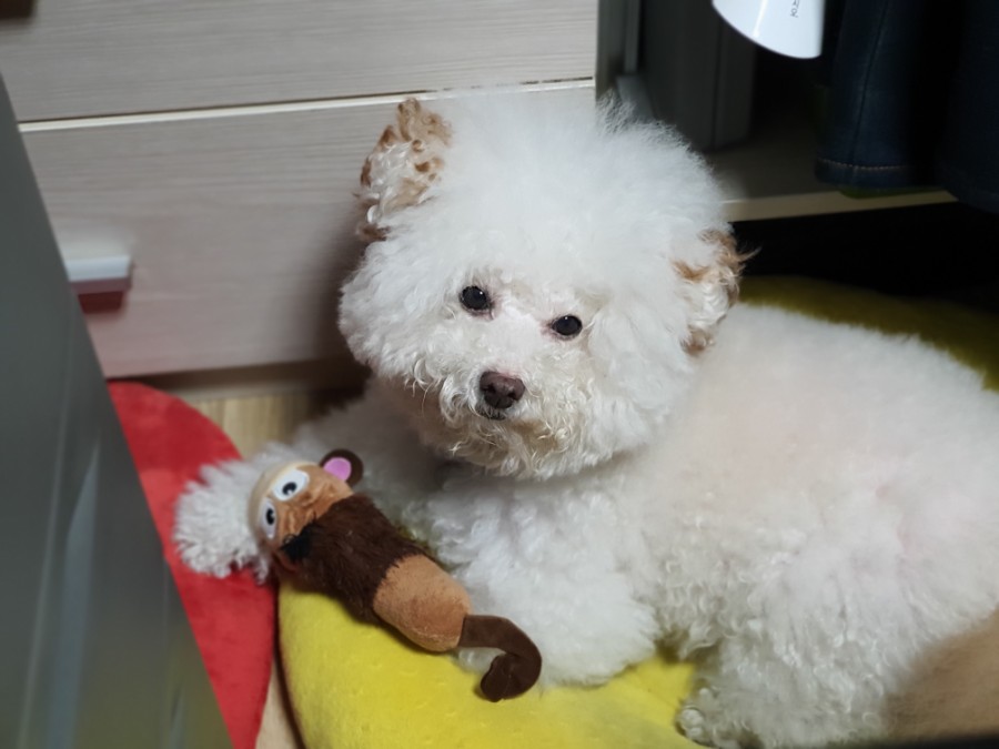 가가애드 이미지