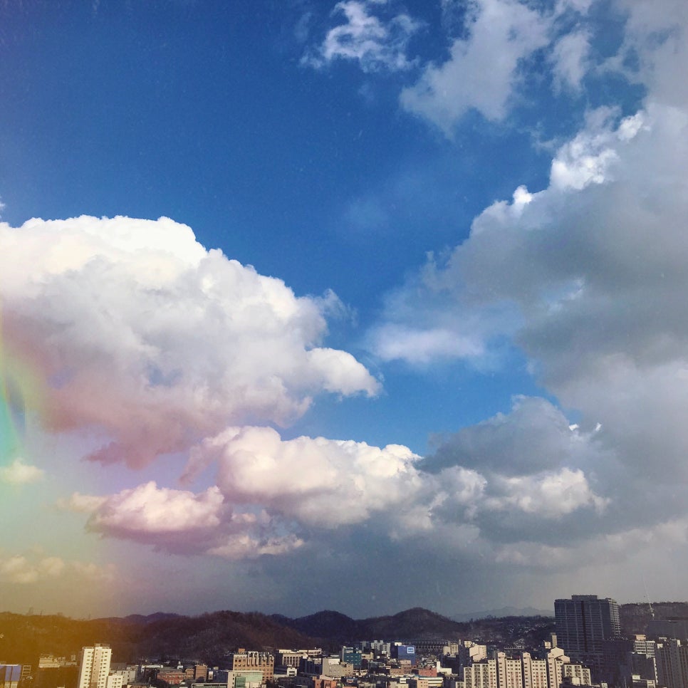 송다방 이미지