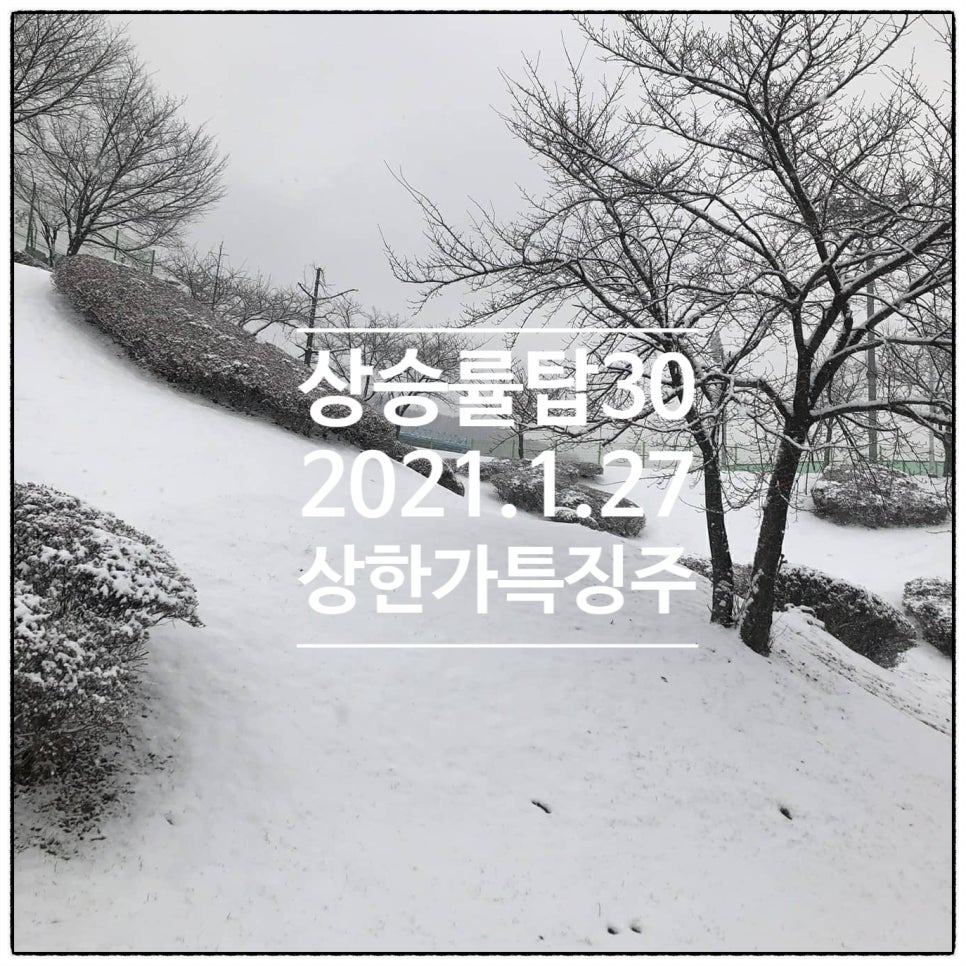 (주)에스지케이 이미지