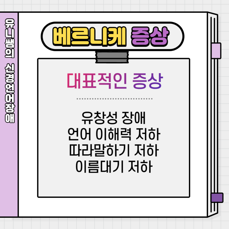 베르니케 이미지