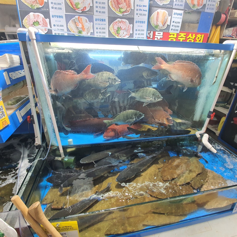 새벽수산 이미지