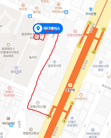 라디에이스 이미지