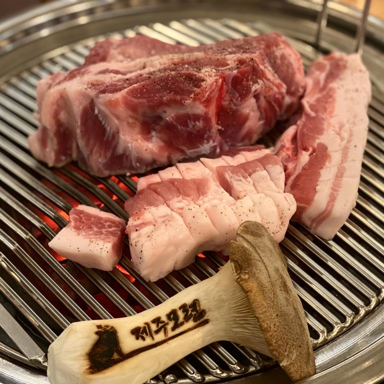 제주모련 이미지