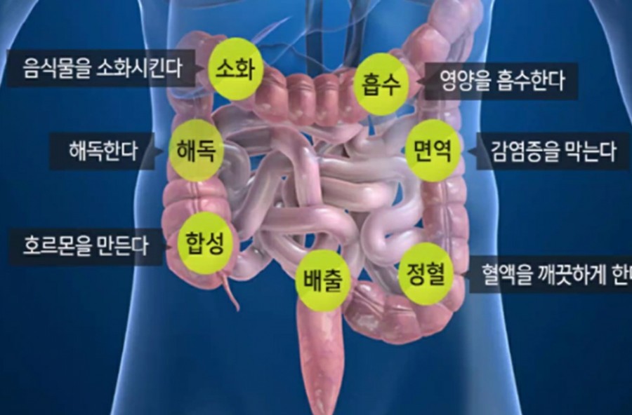 건강한테라피 이미지