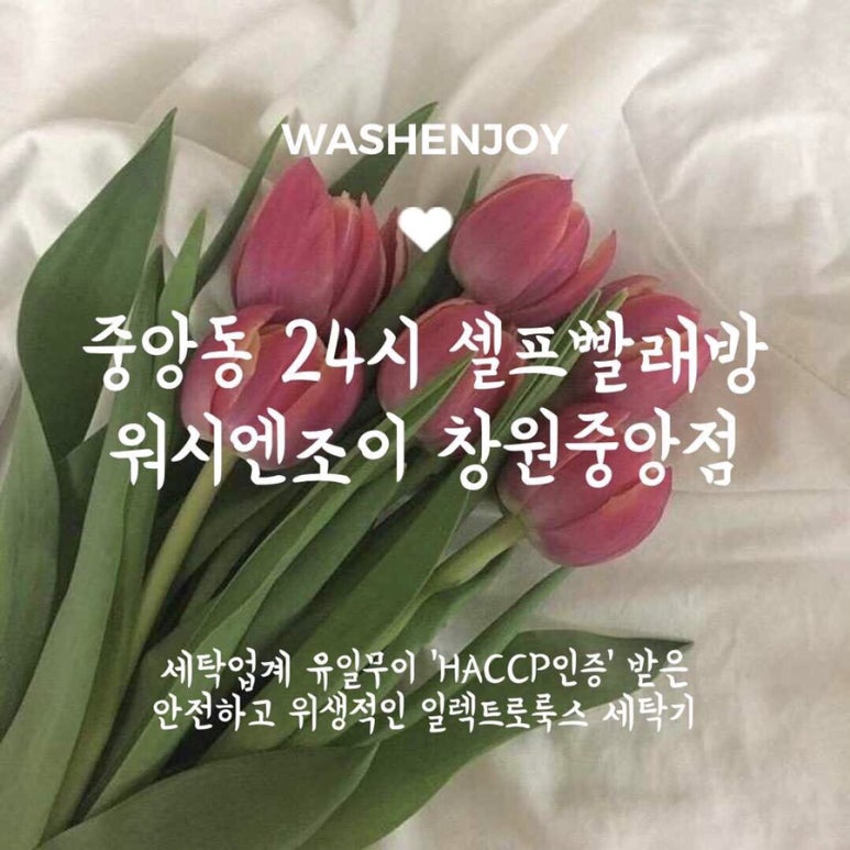 워시엔조이77 이미지