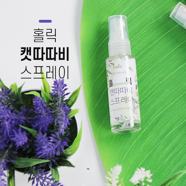 바니홀릭 이미지