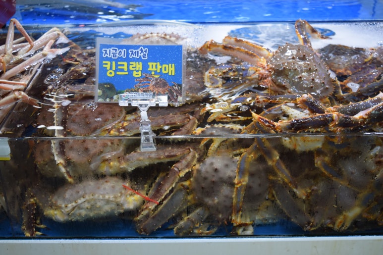 웅천수산 이미지