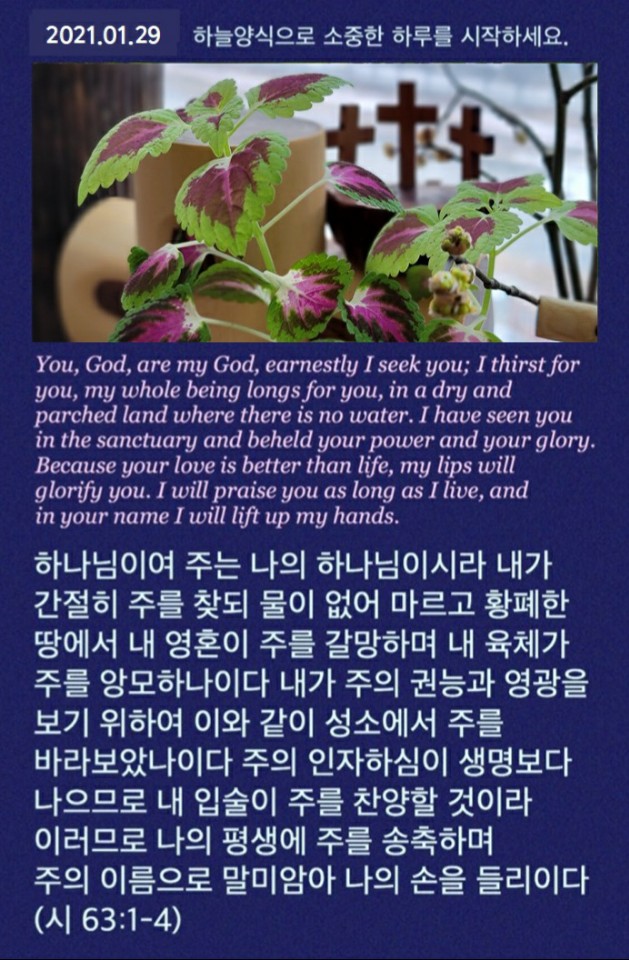 나와나타샤와흰당나귀 이미지