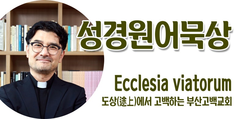 옷니엘팜 이미지