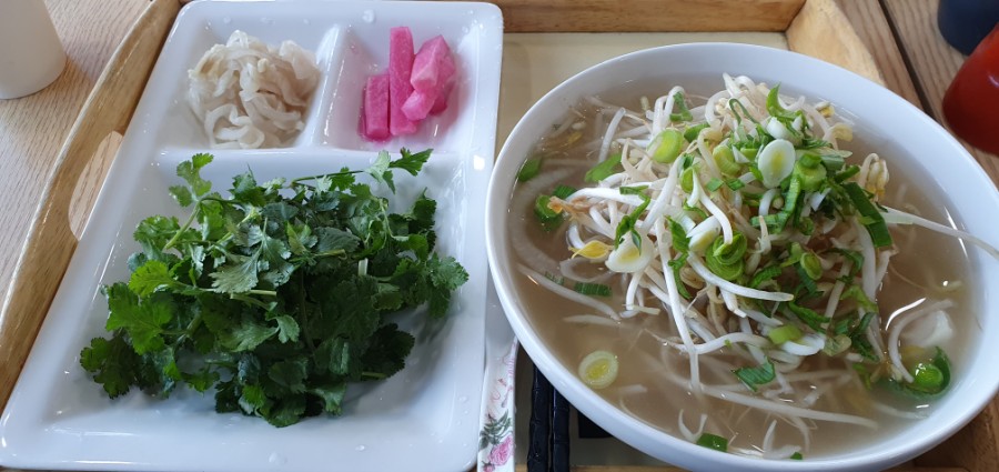 국수바라기 이미지