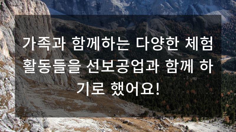 선보투어 이미지