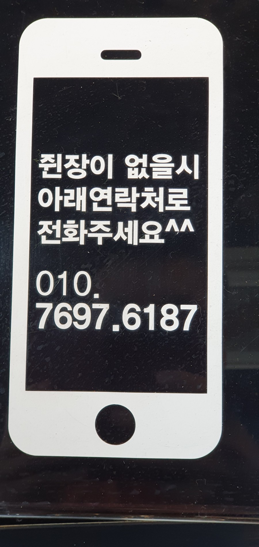 국수바라기 이미지