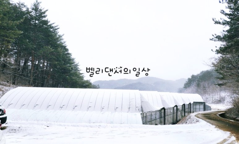 정미니하우스 이미지