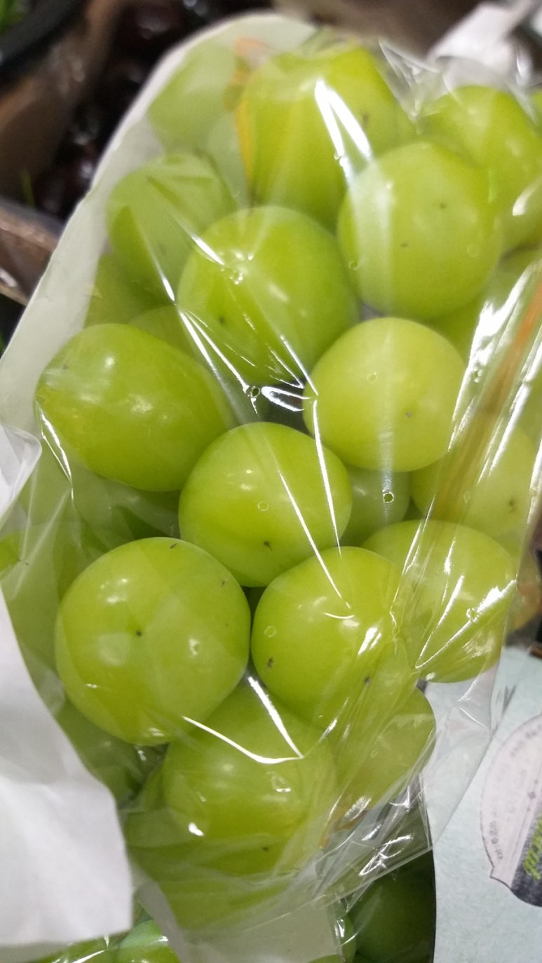 지리산청과 이미지