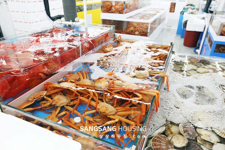 100번수산 이미지