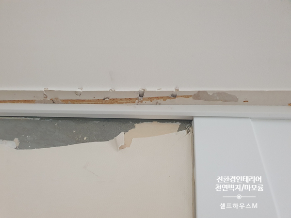 나무앤케어하우스 이미지