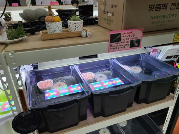 시온모바일 이미지