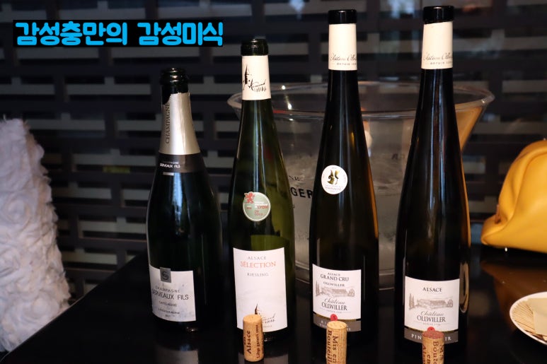 다인인터내셔날 이미지