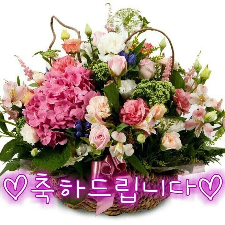 시맥 이미지