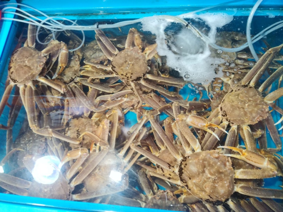 신소라식당 이미지