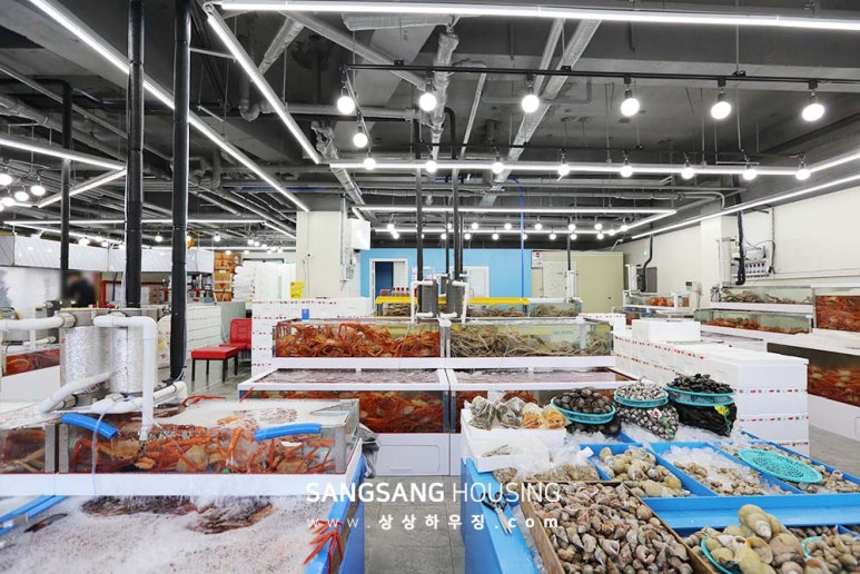 100번수산 이미지