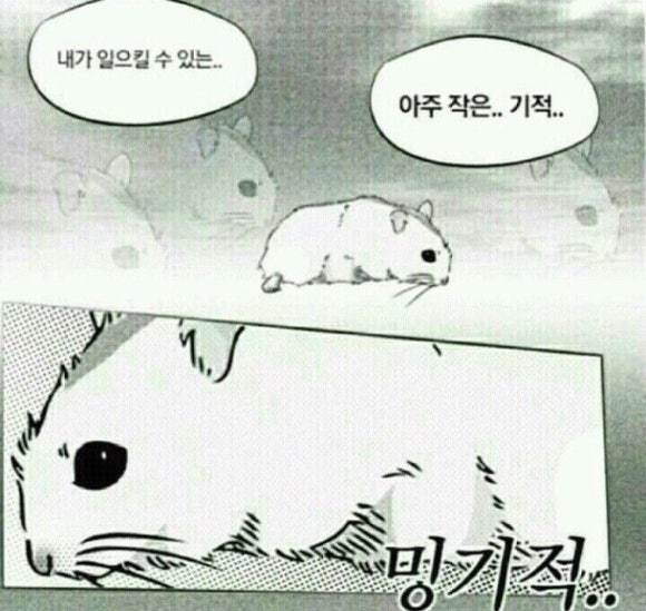꿀꺽 이미지