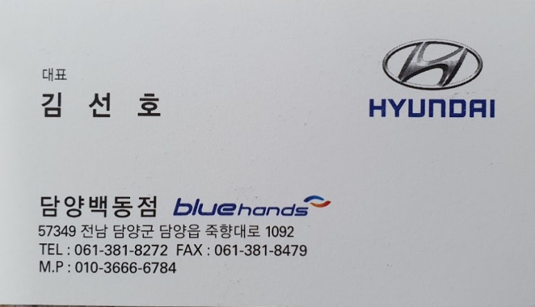 담양백동점현대자동차 이미지