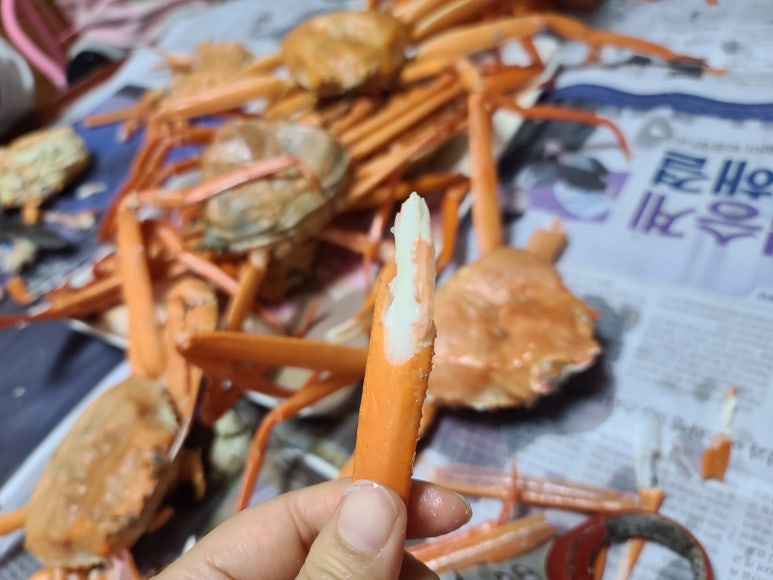 달이네수산 이미지