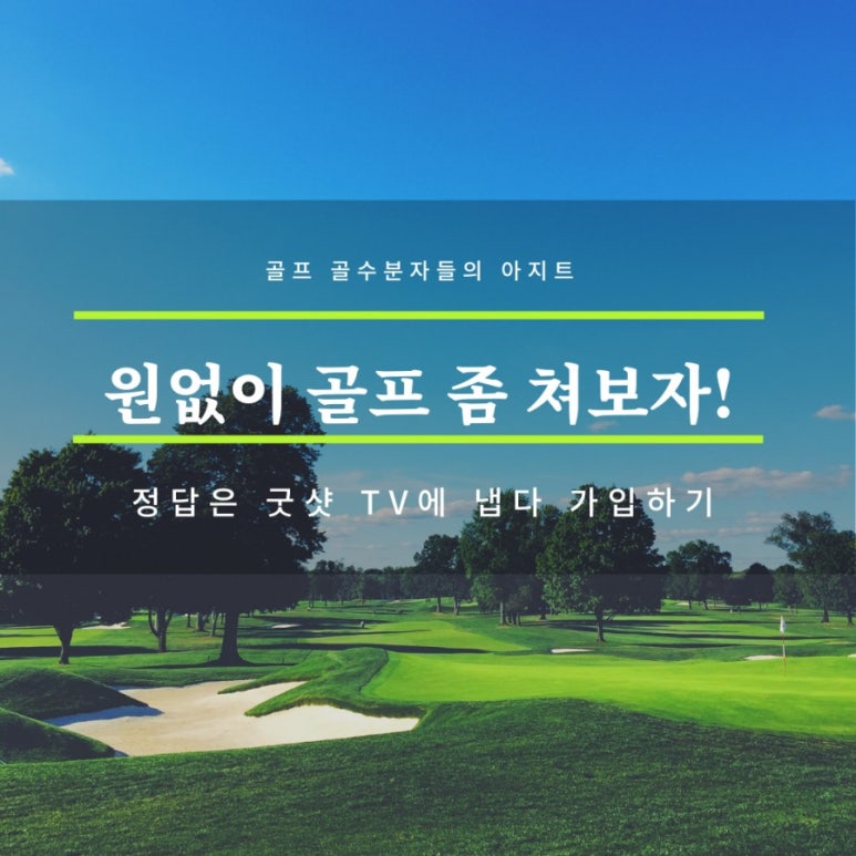 굿샷골프 이미지
