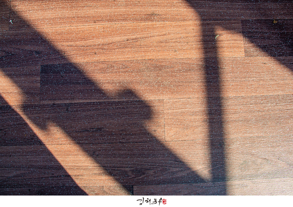 타라모터스 이미지