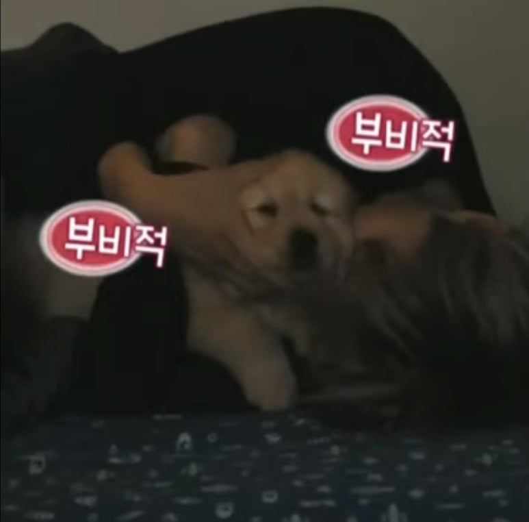 몰리홀릭 이미지