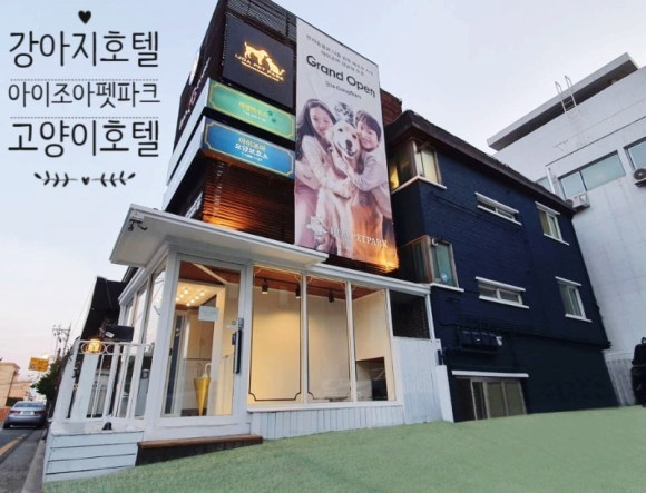 아이조아 이미지