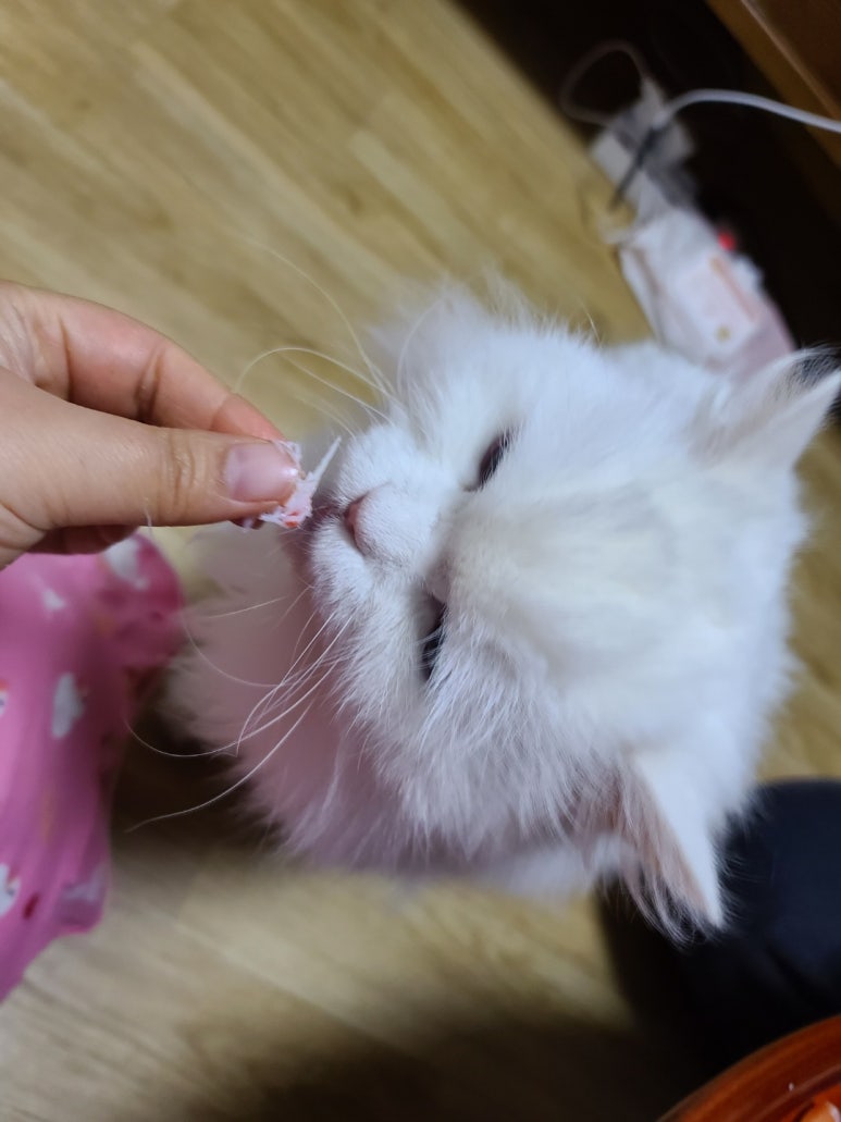 달이네수산 이미지