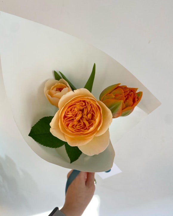 송이와다발 이미지