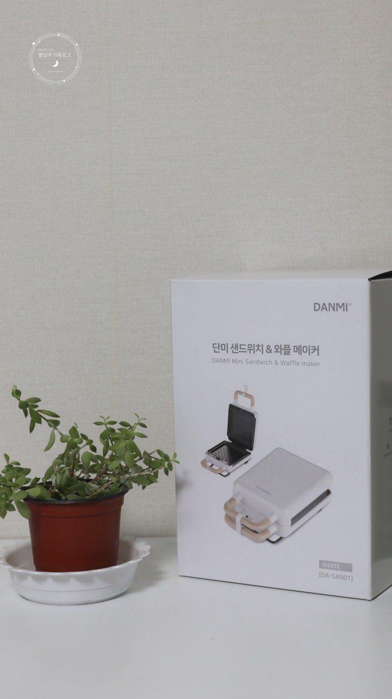 플레시피 이미지