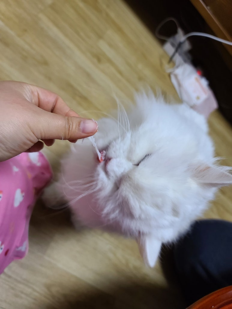 달이네수산 이미지